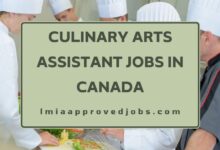 Culinary Arts Assistant Jobs in Canada