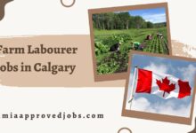 Farm Labourer Jobs in Calgary