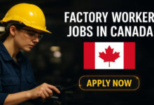 Factory Worker Jobs In Canada